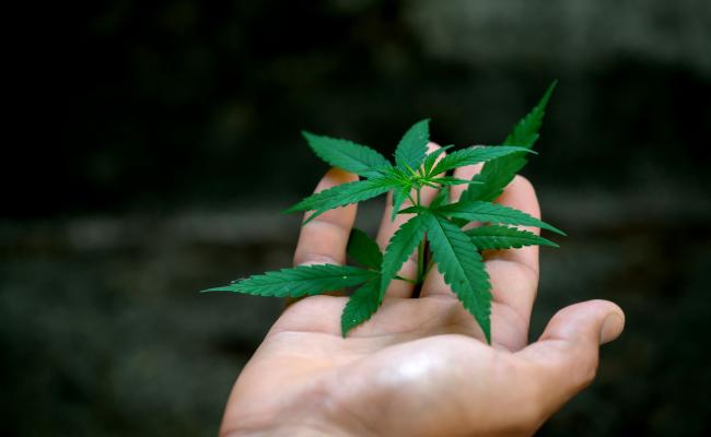 Improves Cancer Treatment