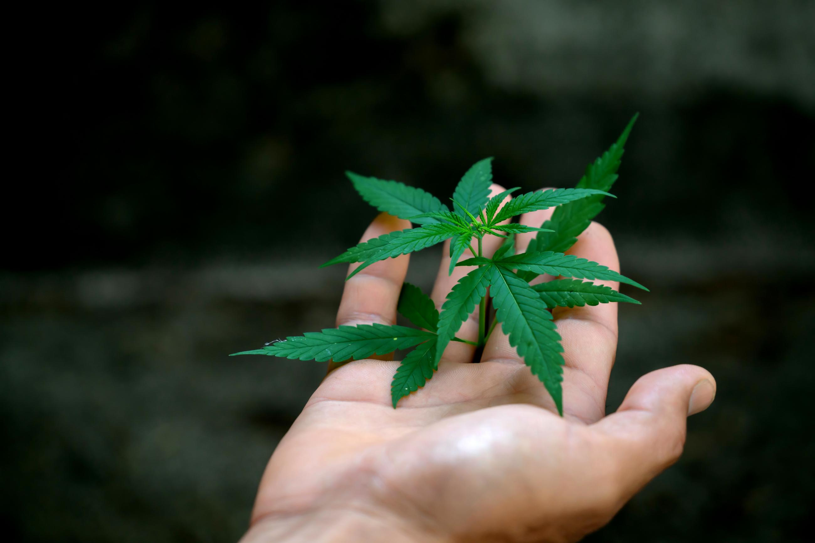 Improves Cancer Treatment